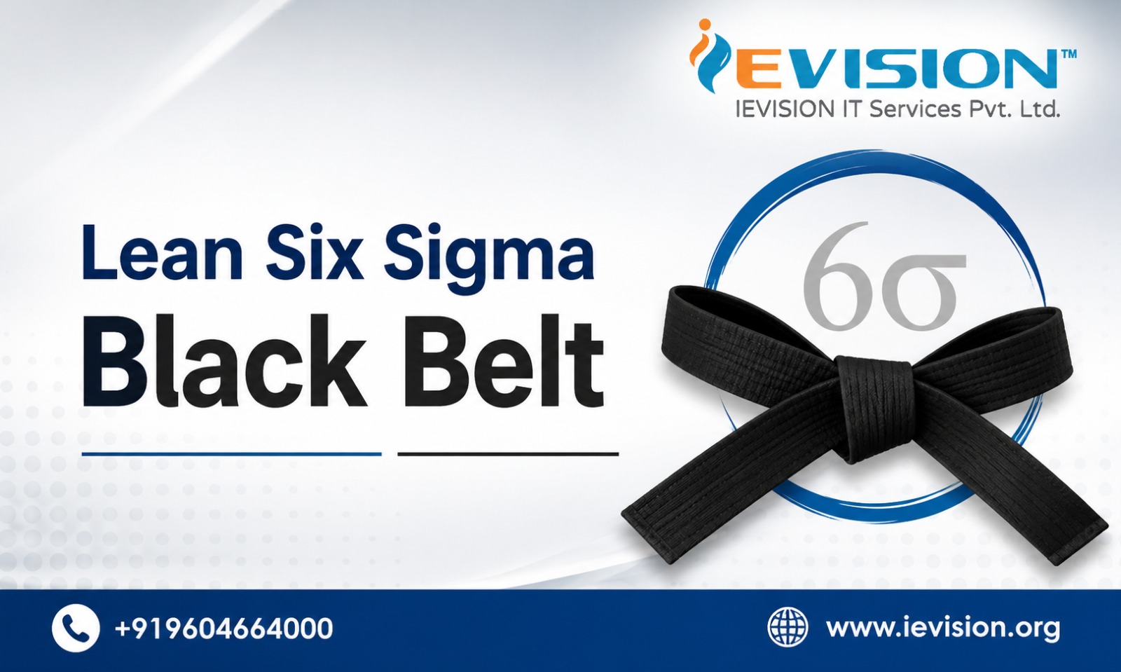 Lean Six Sigma Black Belt